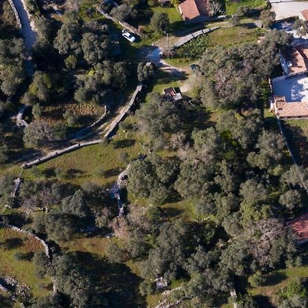 Quinta Dos Canteiros Fátima Exteriér fotografie