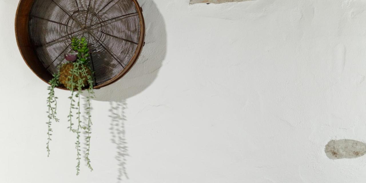 Quinta Dos Canteiros Fátima Exteriér fotografie
